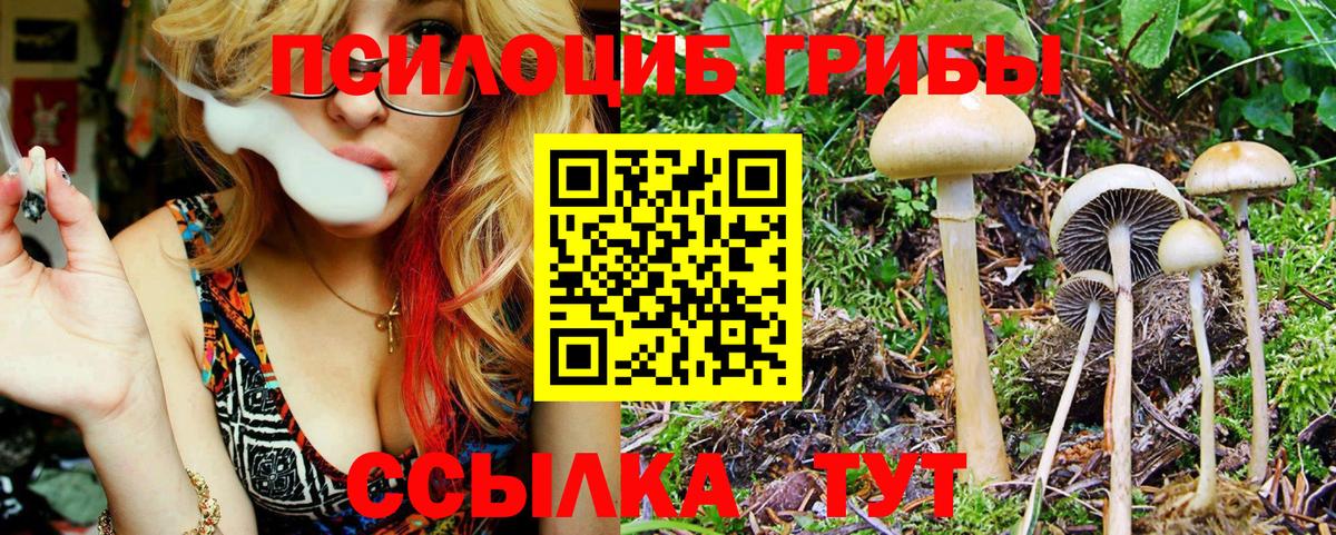 Нарткала  Галлюциногенные грибы Magic Shrooms  Вход с VPN 